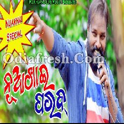 NuaKhai Parab - Nuakhai Special Song By Ruku Suna